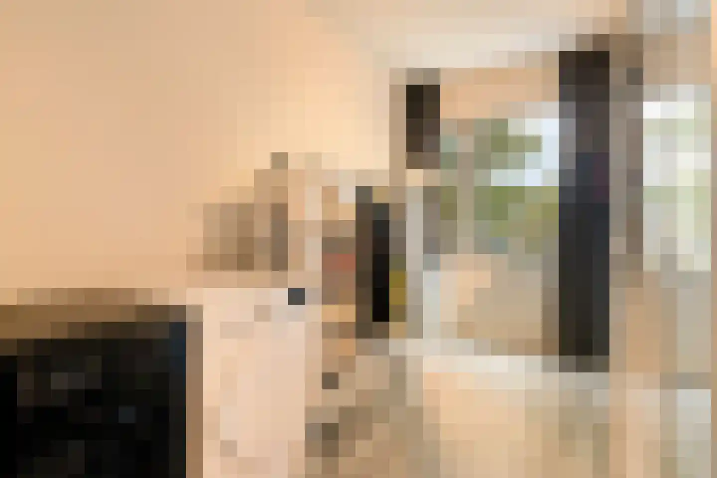 Donk 10 Eindhoven thumbnail 31