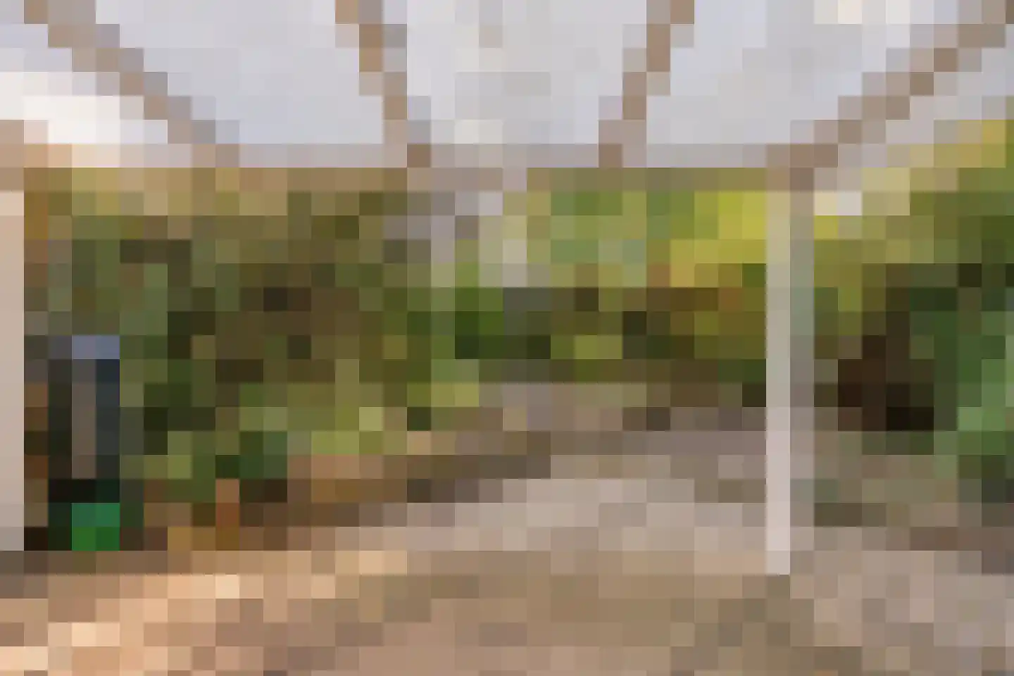 Donk 10 Eindhoven thumbnail 35