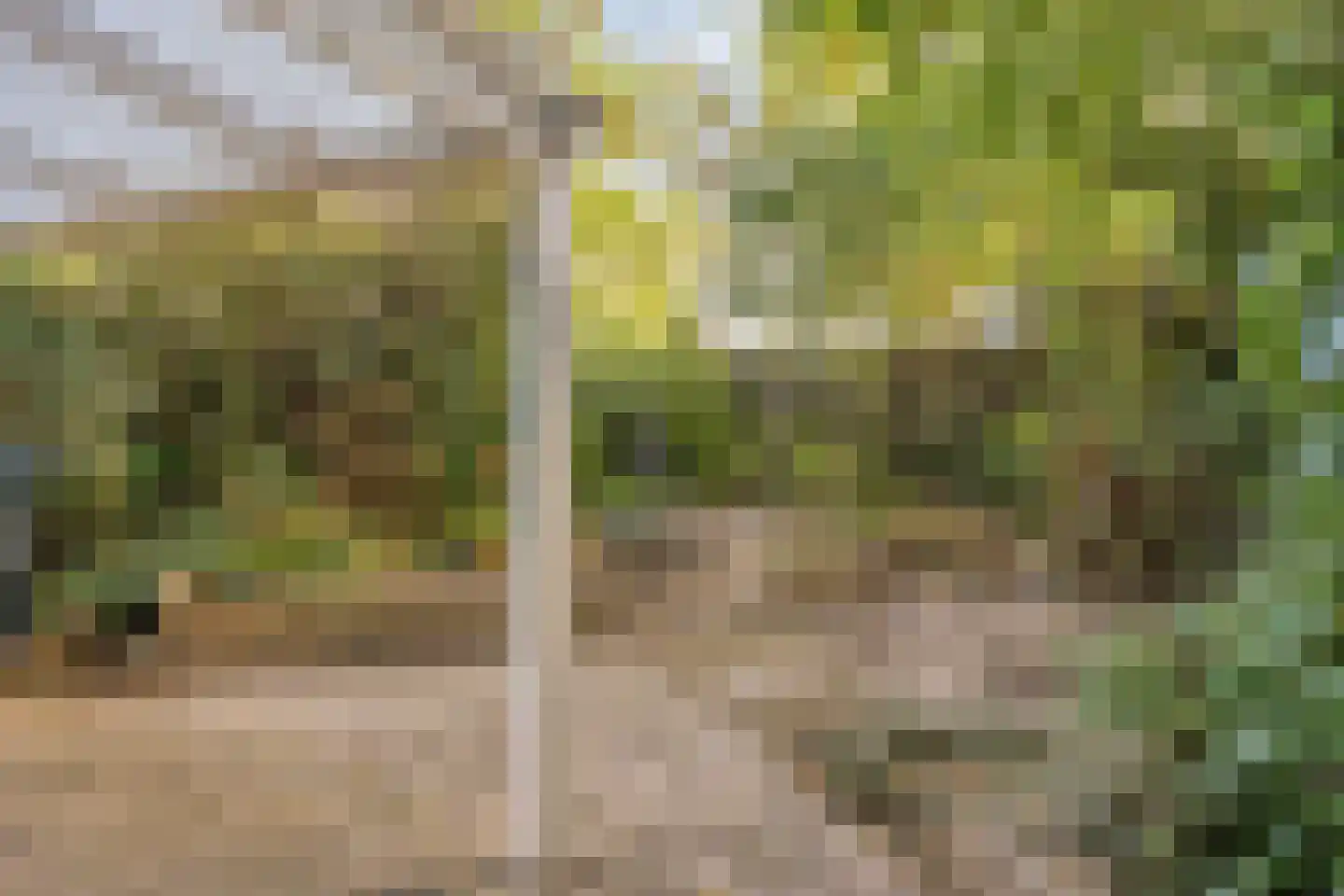 Donk 10 Eindhoven thumbnail 36