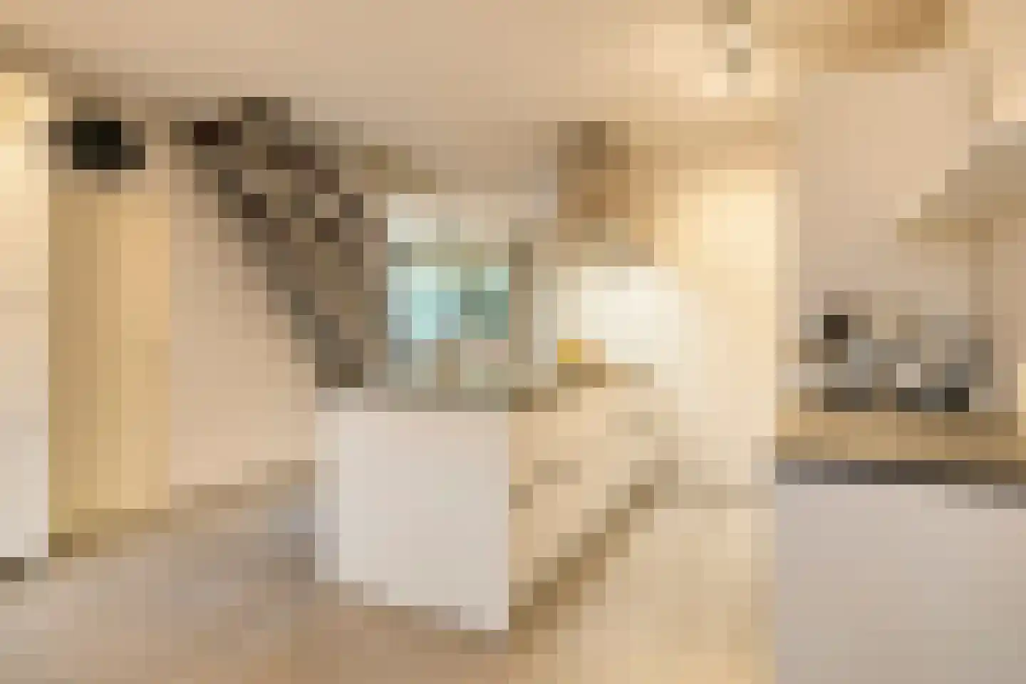 Donk 10 Eindhoven thumbnail 4