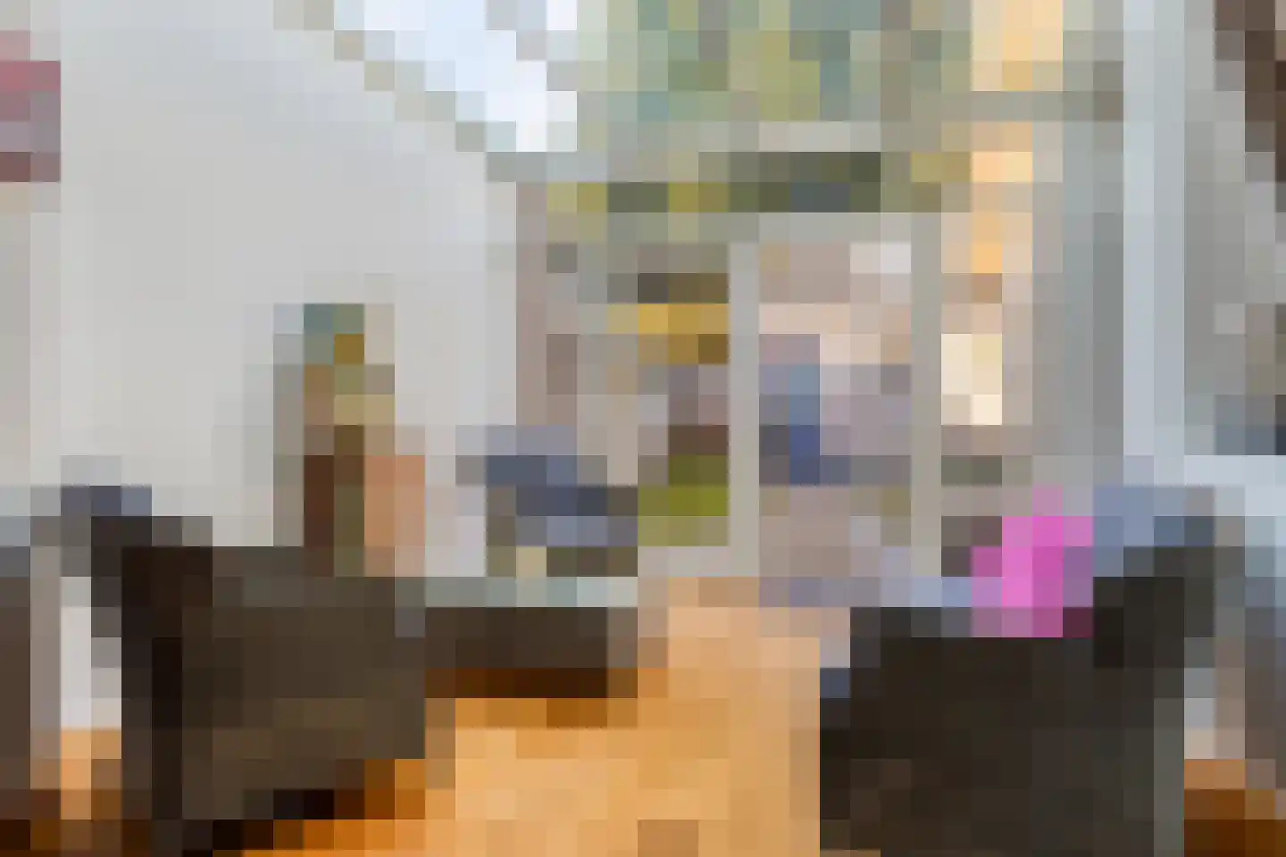 Donk 13 Dongen thumbnail 11