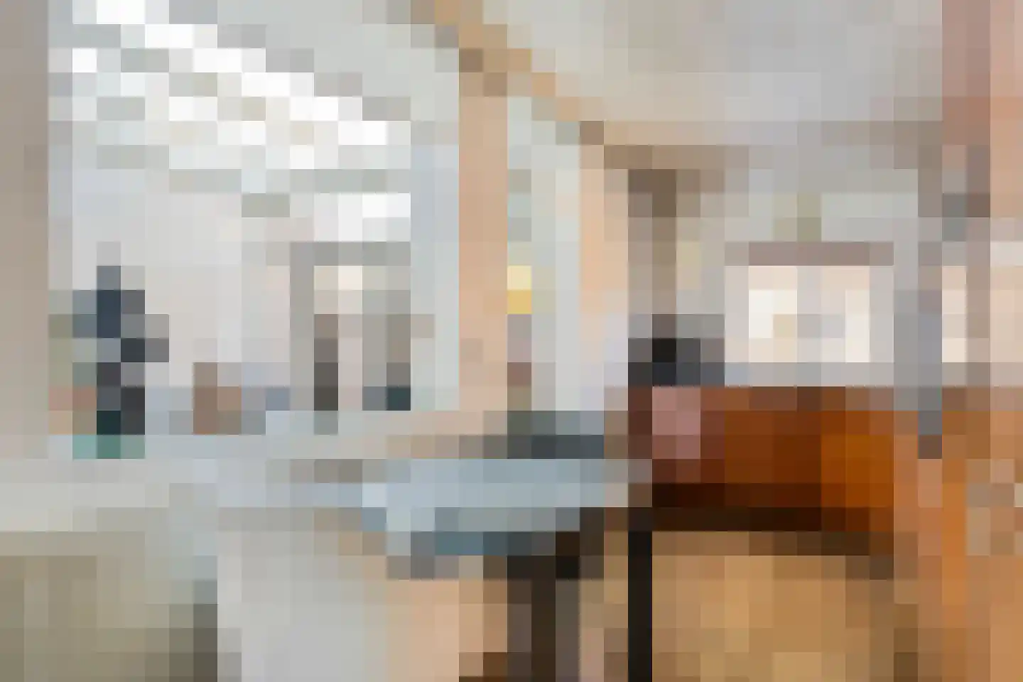 Donk 13 Dongen thumbnail 14
