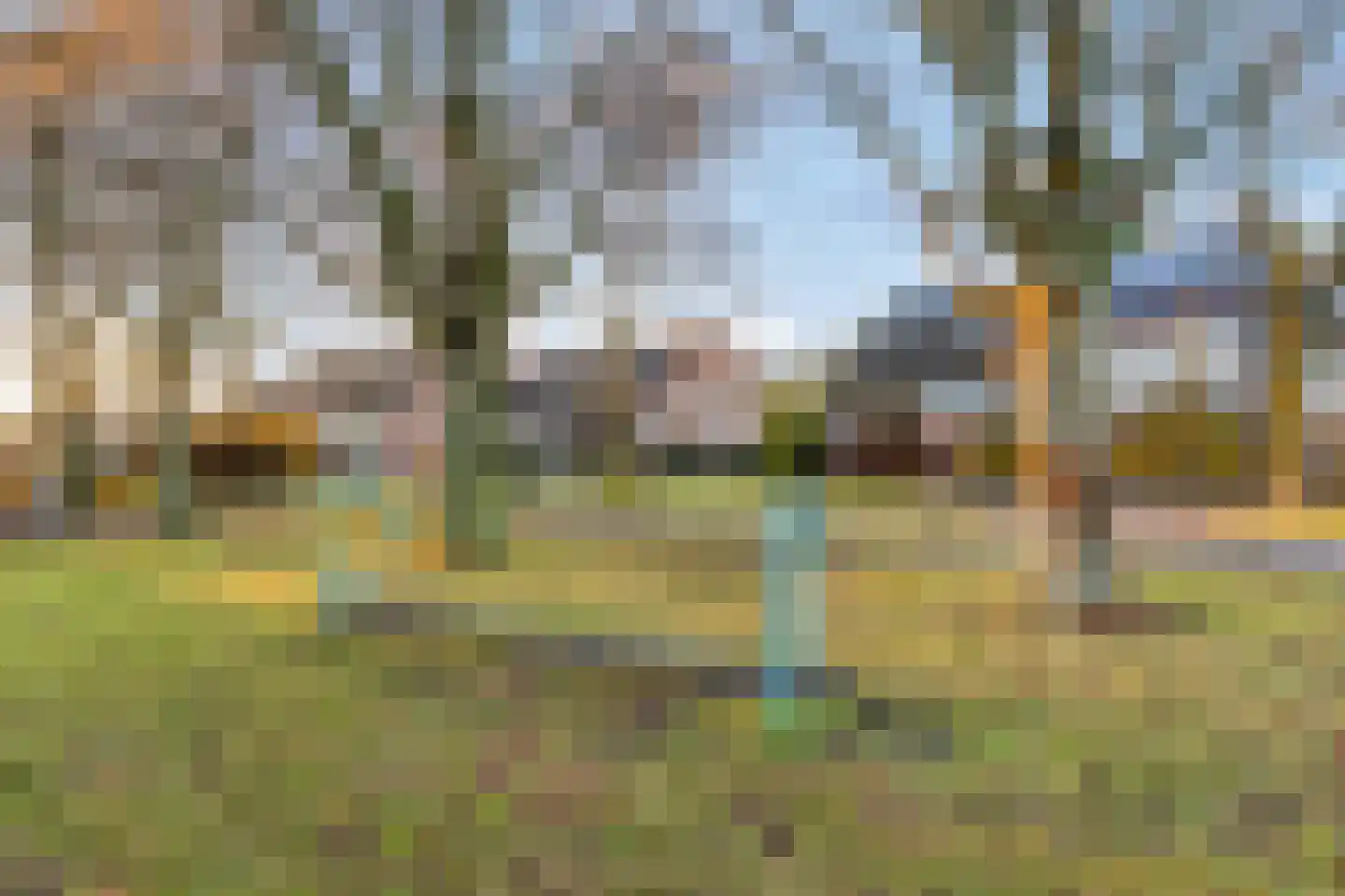 Donk 13 Dongen thumbnail 40