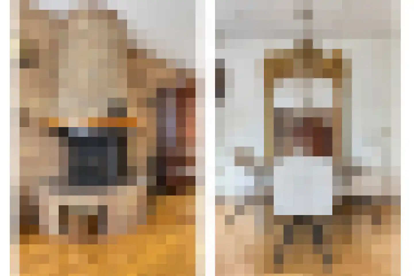 Donk 13 Dongen thumbnail 7