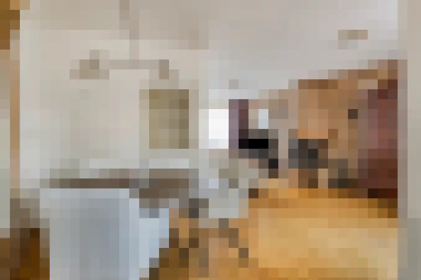 Donk 13 Dongen thumbnail 8