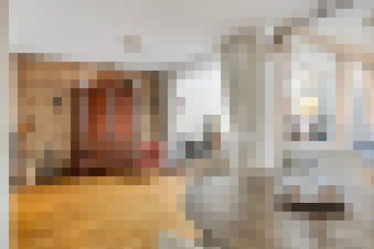 Donk 13 Dongen thumbnail 9
