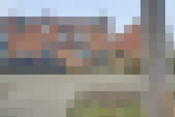 Donk 2 in Spijkenisse