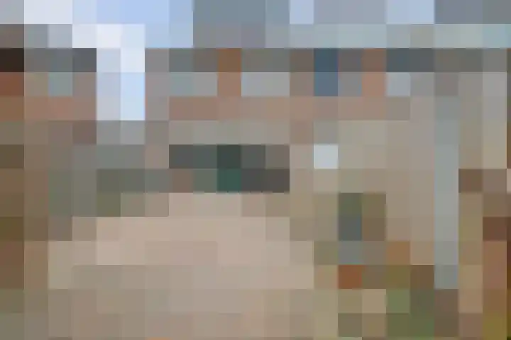 Donk 2 Spijkenisse thumbnail 10
