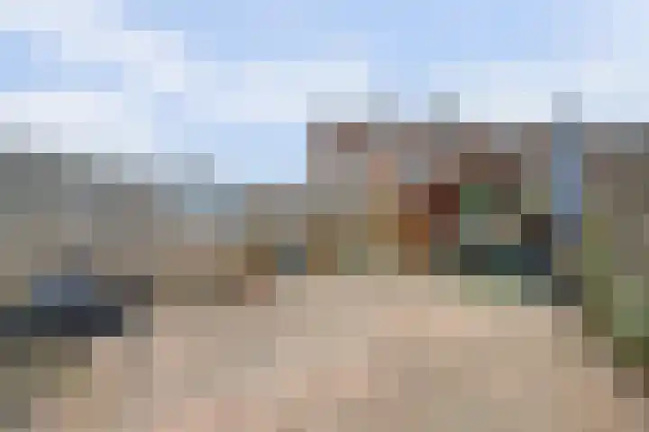 Donk 2 Spijkenisse thumbnail 12
