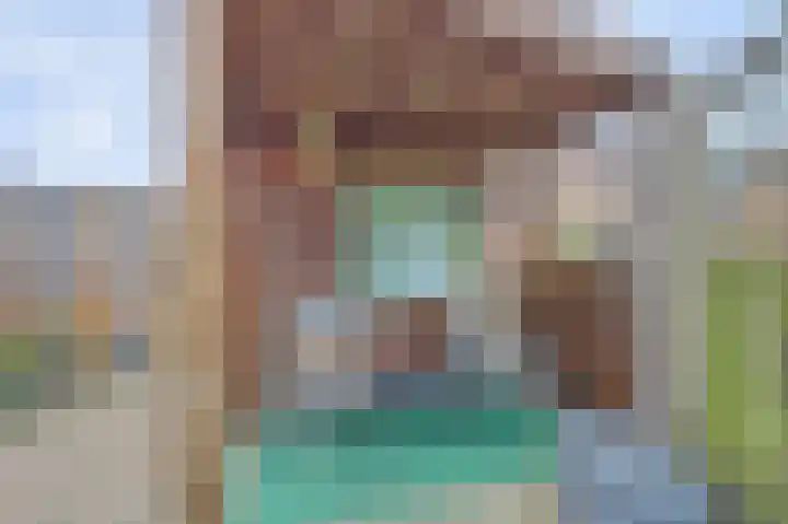 Donk 2 Spijkenisse thumbnail 13