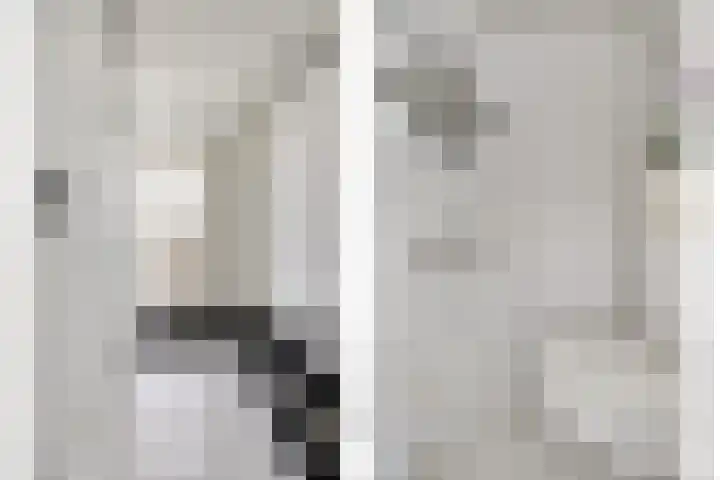 Donk 2 Spijkenisse thumbnail 14