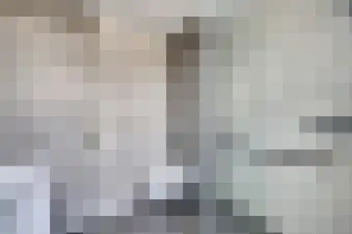 Donk 2 Spijkenisse thumbnail 17