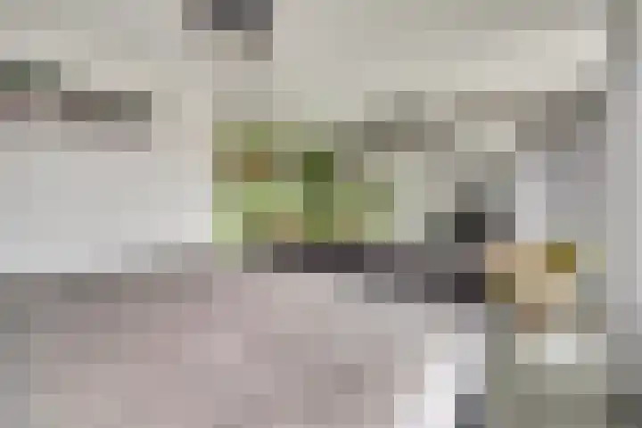 Donk 2 Spijkenisse thumbnail 20