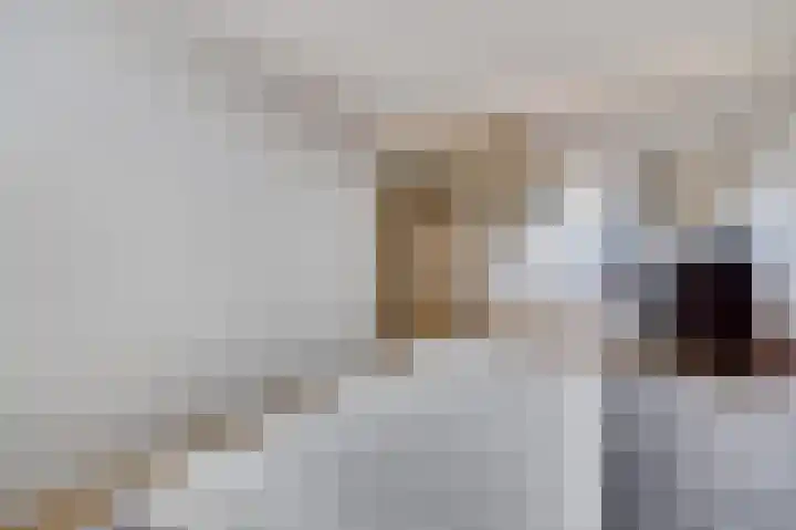Donk 2 Spijkenisse thumbnail 25