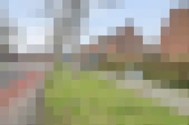 Donk 2 Spijkenisse thumbnail 28
