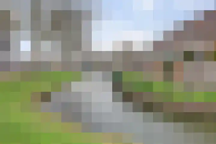 Donk 2 Spijkenisse thumbnail 29