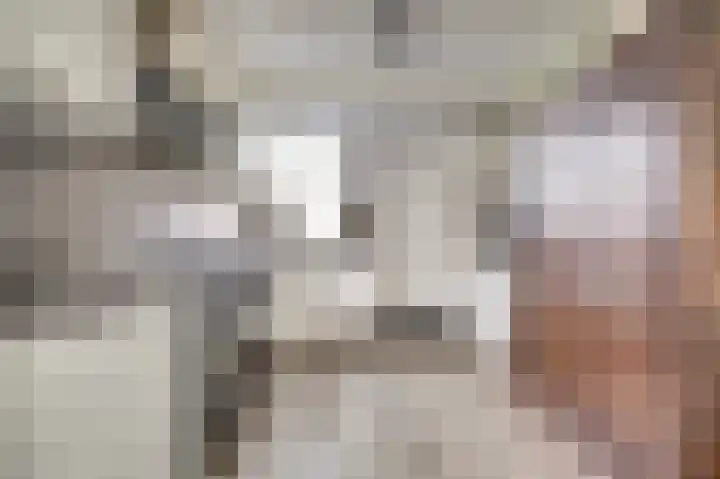 Donk 2 Spijkenisse thumbnail 5