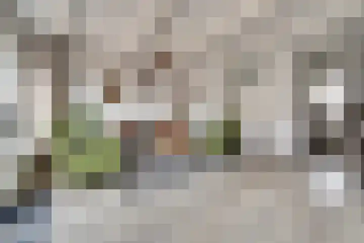 Donk 2 Spijkenisse thumbnail 6