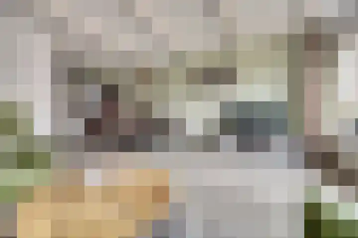 Donk 2 Spijkenisse thumbnail 7