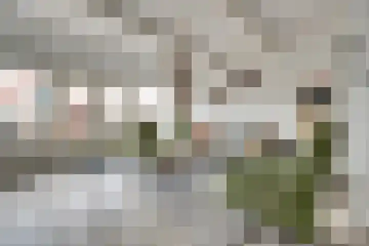 Donk 2 Spijkenisse thumbnail 8