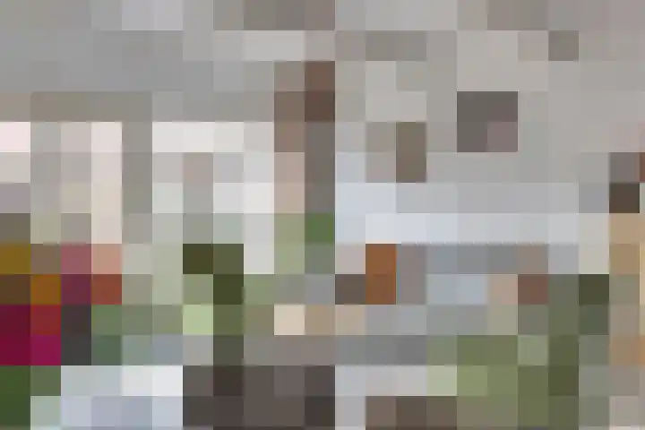 Donk 2 Spijkenisse thumbnail 9