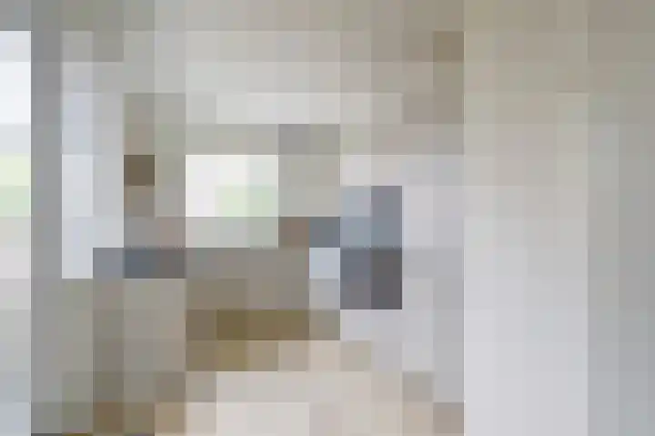 Donk 21 Dongen thumbnail 12