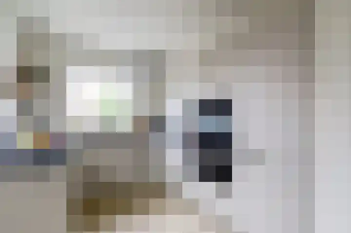 Donk 21 Dongen thumbnail 14