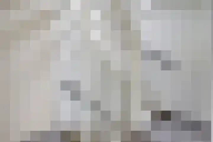 Donk 21 Dongen thumbnail 16