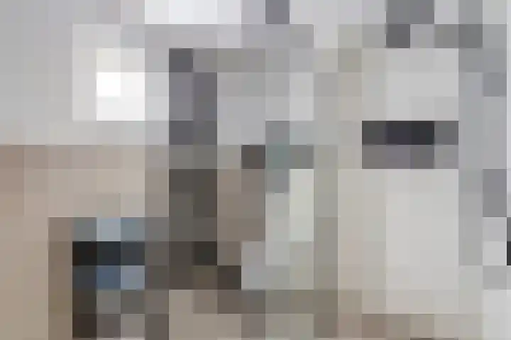 Donk 21 Dongen thumbnail 25