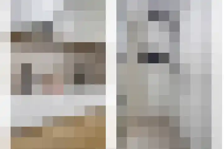 Donk 21 Dongen thumbnail 26