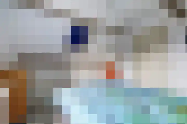 Donk 21 Dongen thumbnail 29