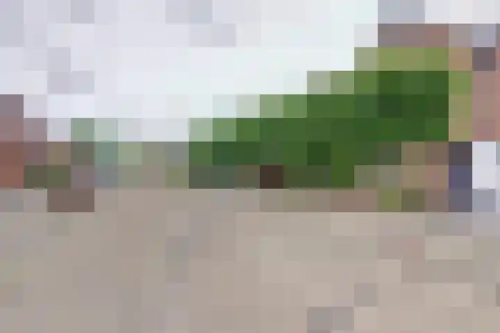 Donk 21 Dongen foto 3