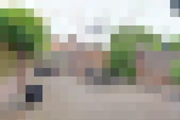 Donk 21 Dongen thumbnail 32