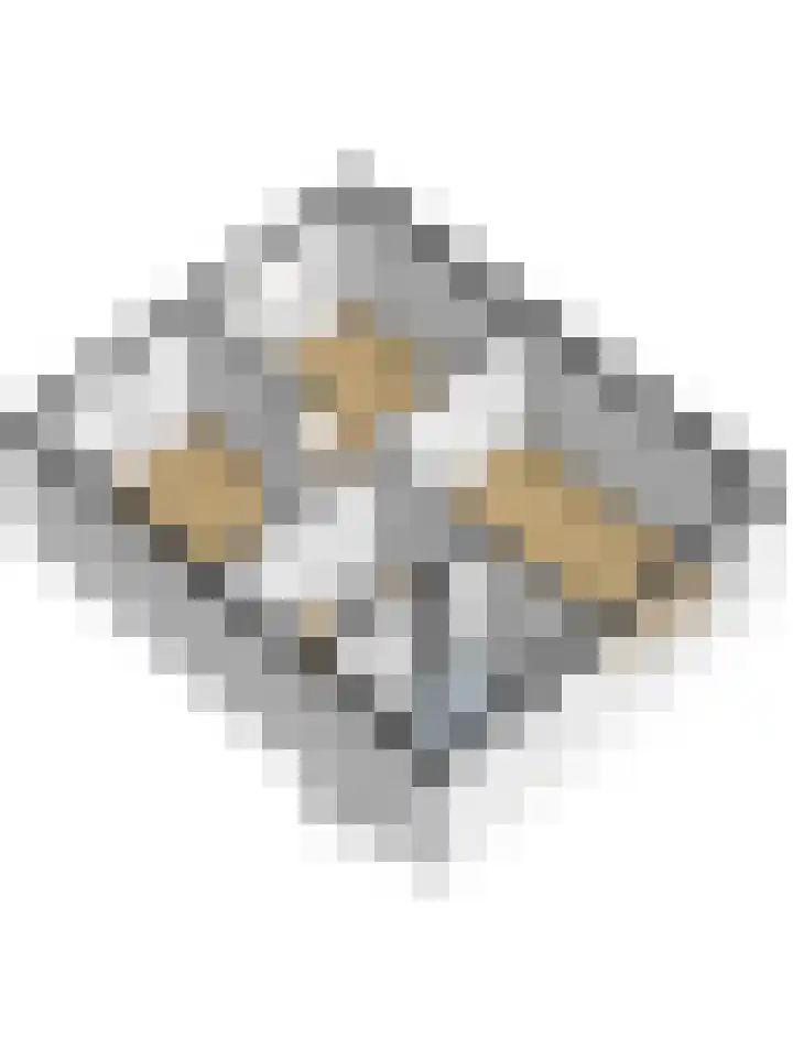 Donk 21 Dongen thumbnail 35