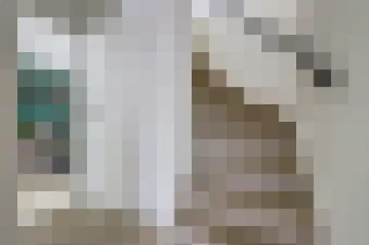 Donk 21 Dongen thumbnail 5