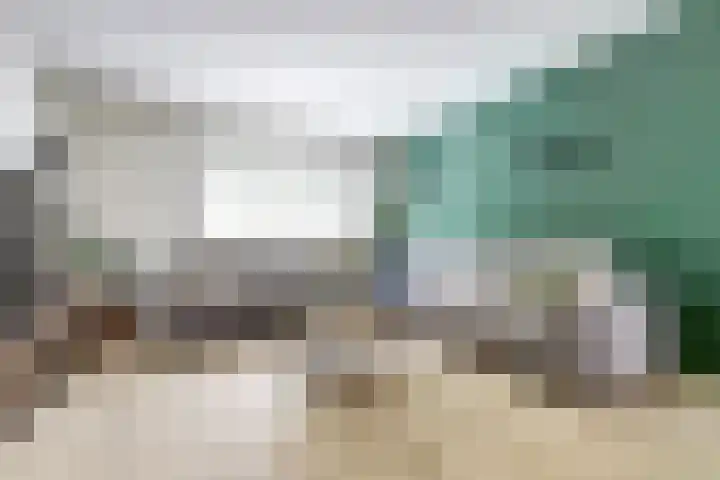 Donk 21 Dongen thumbnail 6
