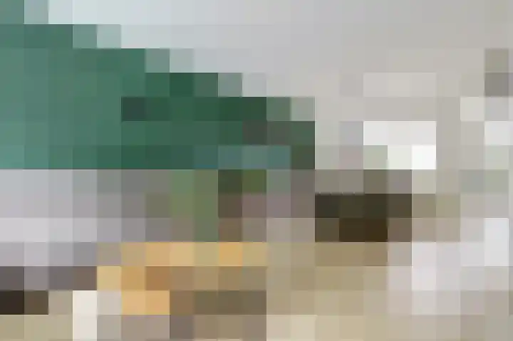 Donk 21 Dongen thumbnail 7