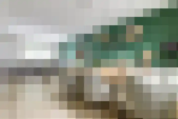 Donk 21 Dongen thumbnail 9