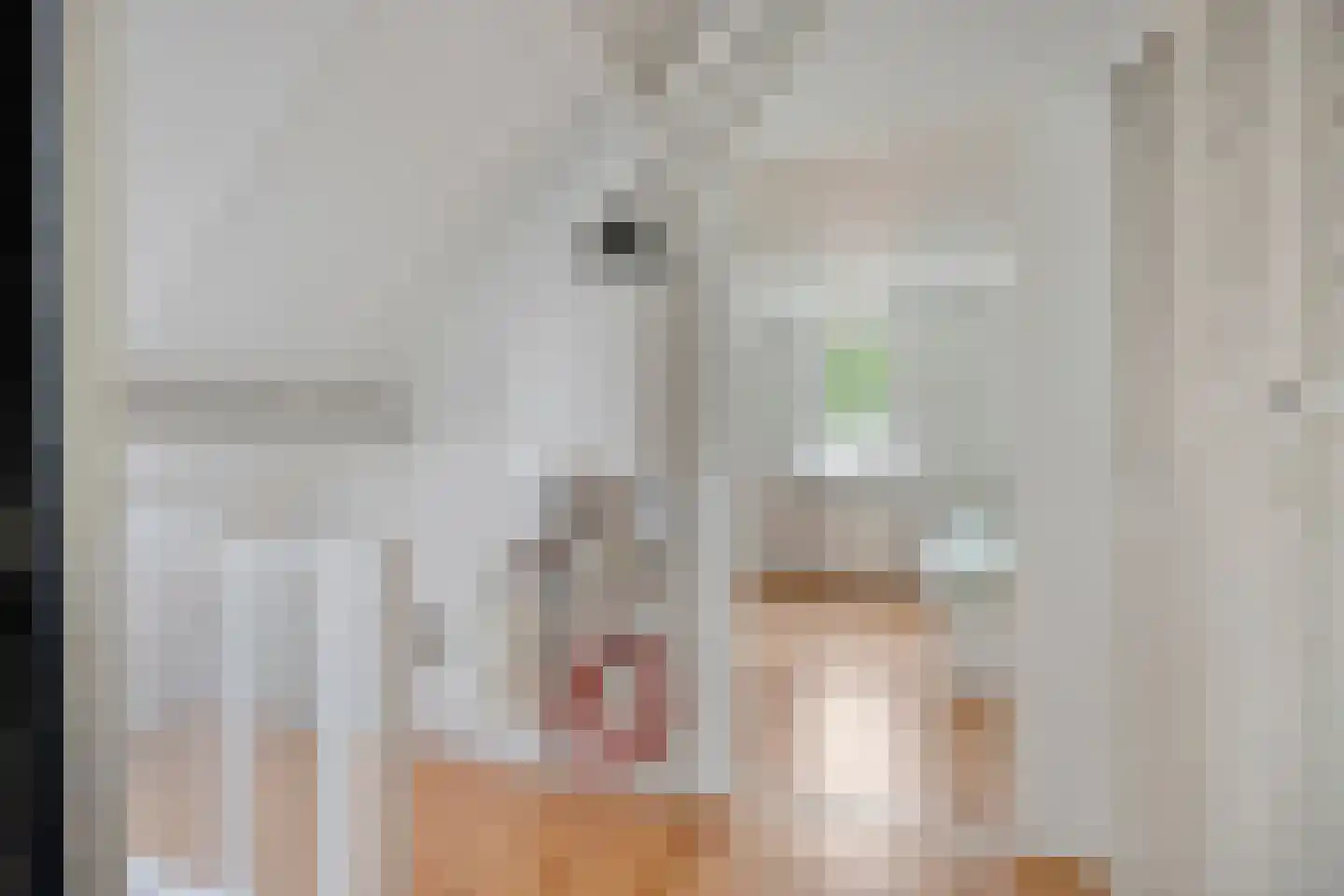 Donk 25 Dongen thumbnail 27