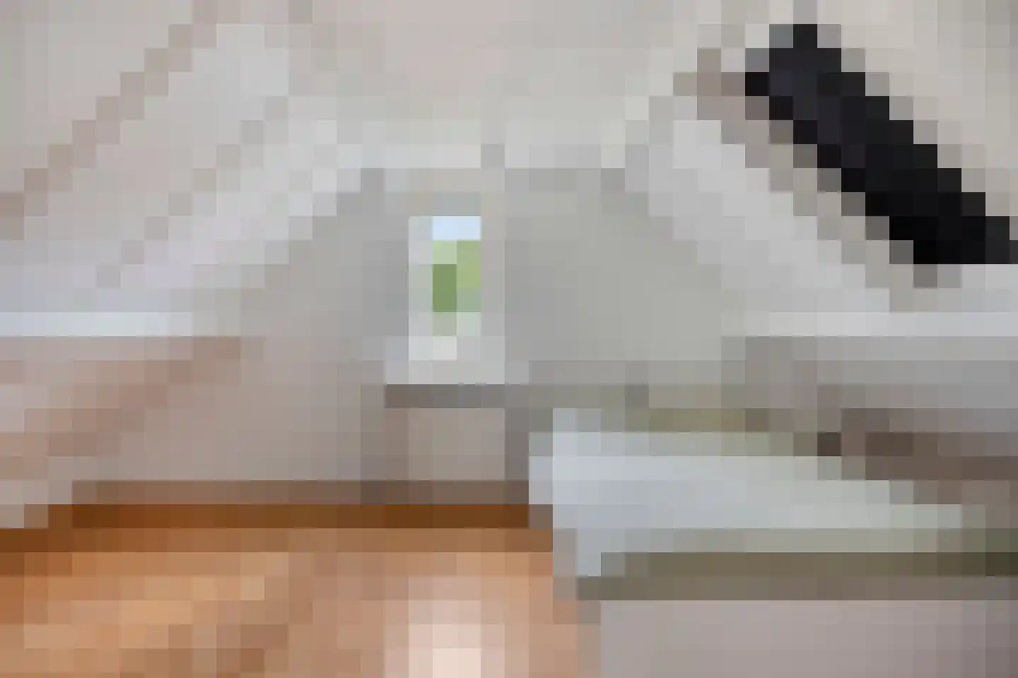 Donk 25 Dongen thumbnail 28