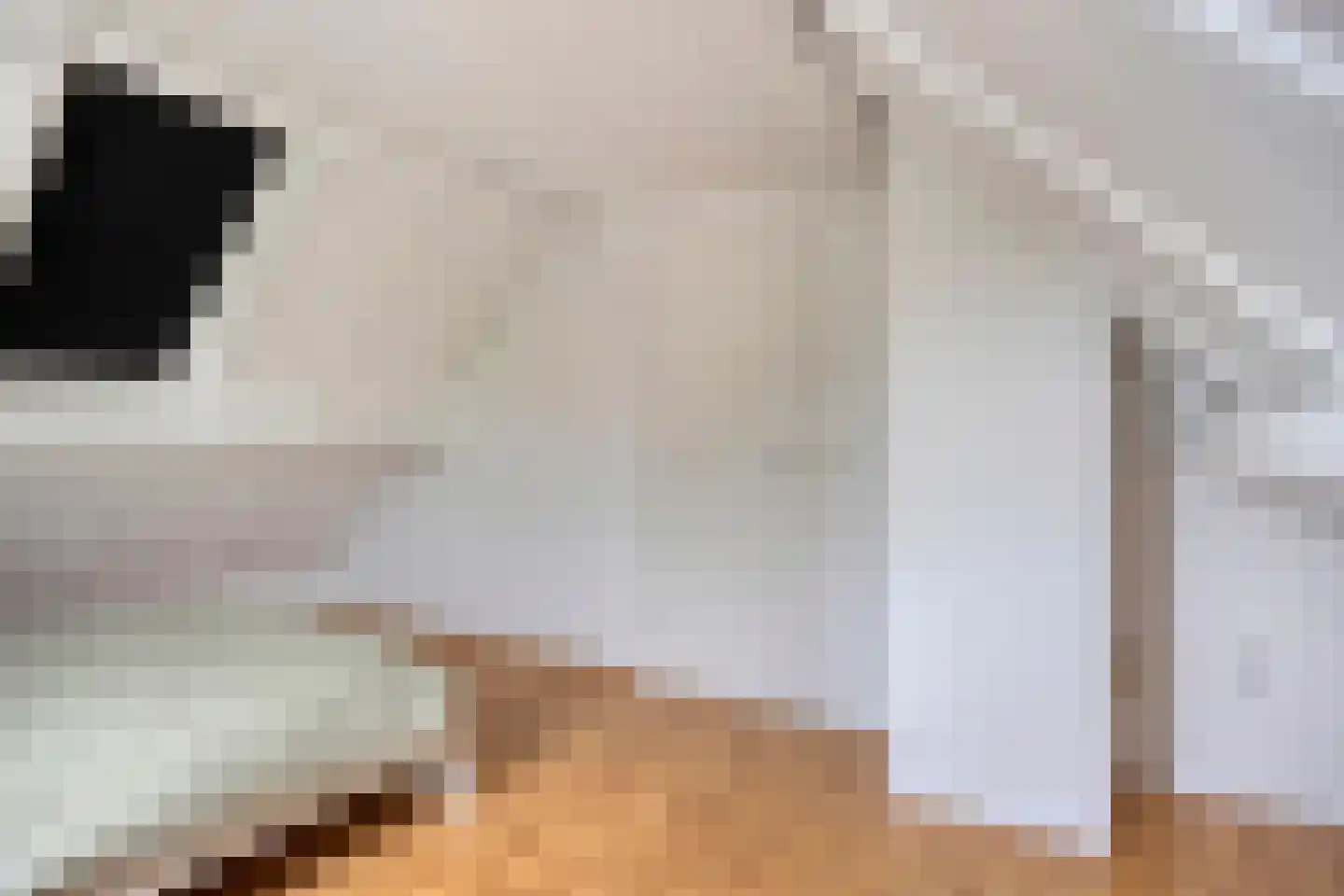 Donk 25 Dongen thumbnail 29