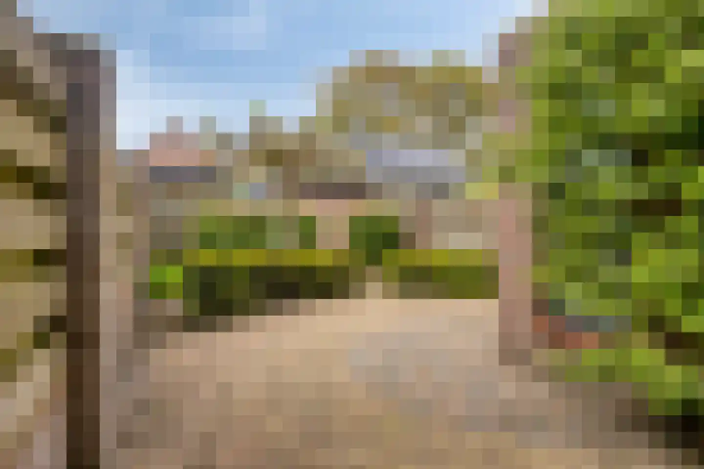 Donk 25 Dongen thumbnail 6