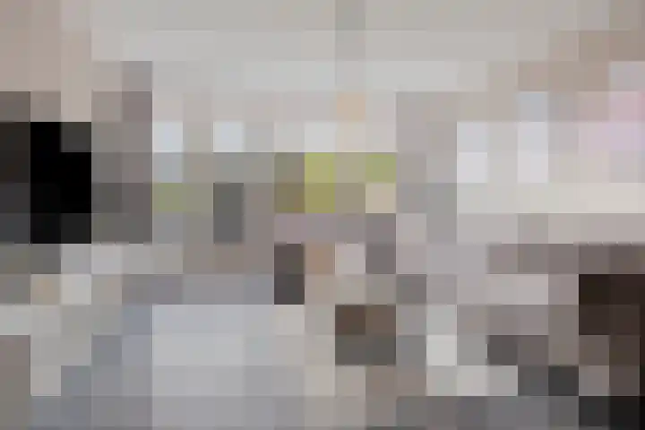 Donk 26 Eindhoven thumbnail 10