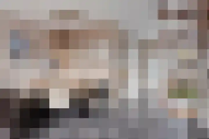 Donk 26 Eindhoven thumbnail 13