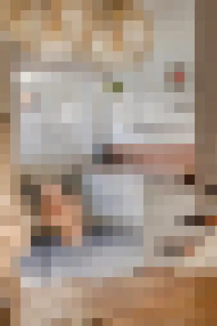 Donk 26 Eindhoven thumbnail 16