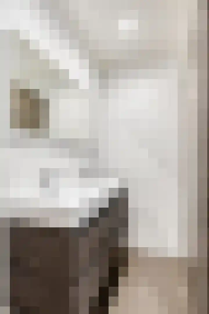 Donk 26 Eindhoven thumbnail 28