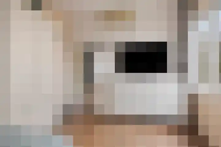 Donk 26 Eindhoven thumbnail 35
