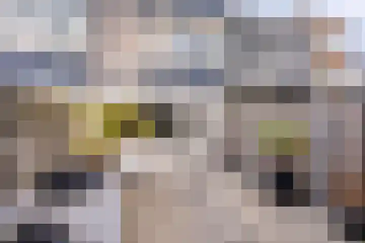 Donk 26 Eindhoven thumbnail 42