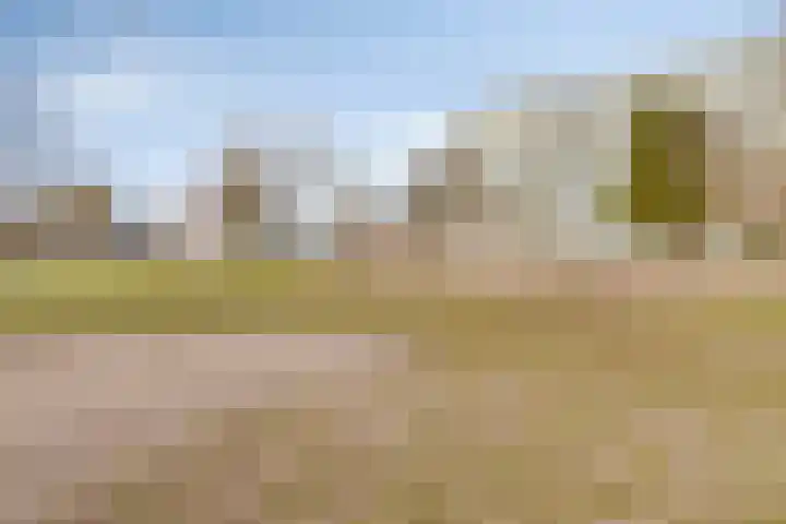 Donk 26 Eindhoven thumbnail 46