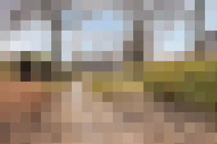Donk 26 Eindhoven thumbnail 47